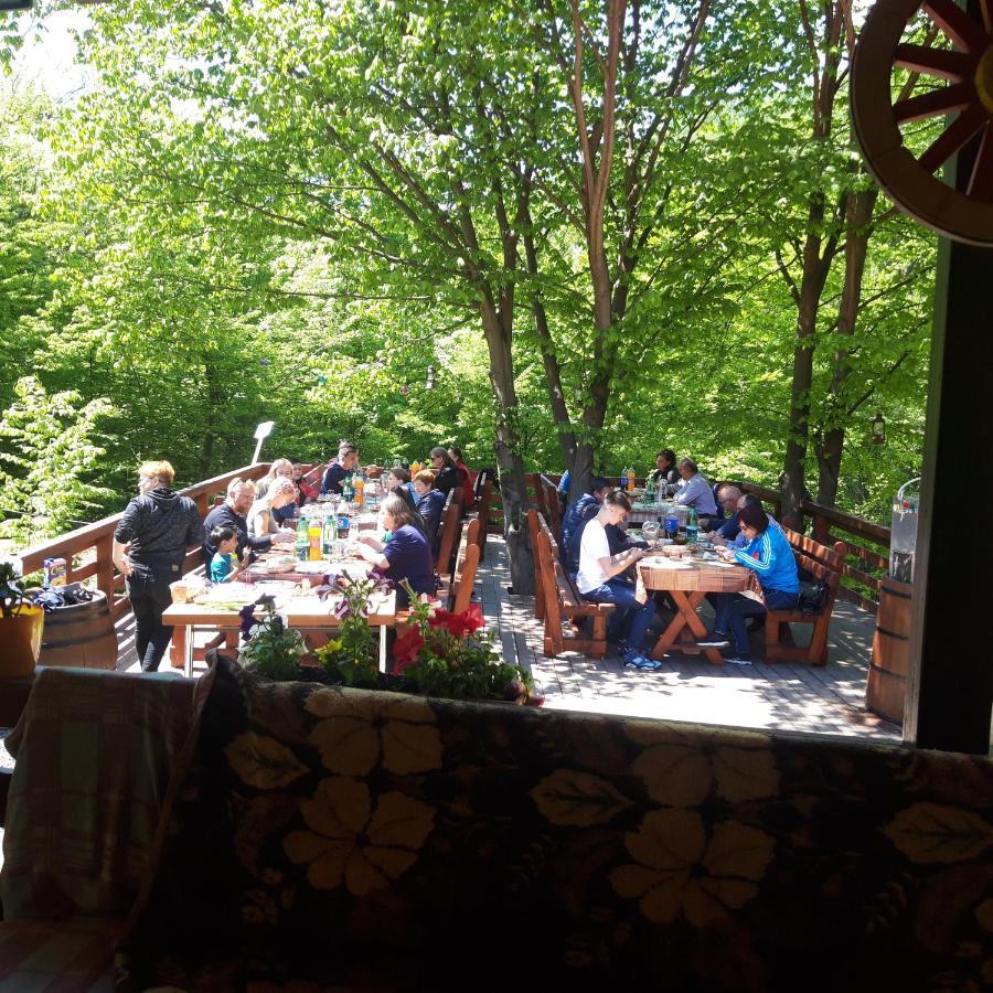 Lodge Alpha Baia Mare